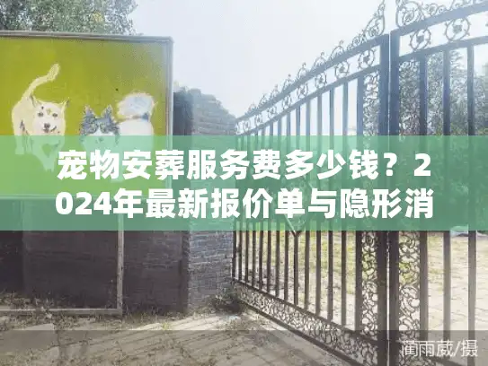 宠物安葬服务费多少钱？2024年最新报价单与隐形消费大起底