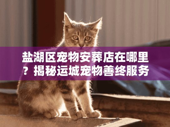盐湖区宠物安葬店在哪里？揭秘运城宠物善终服务的真实选址