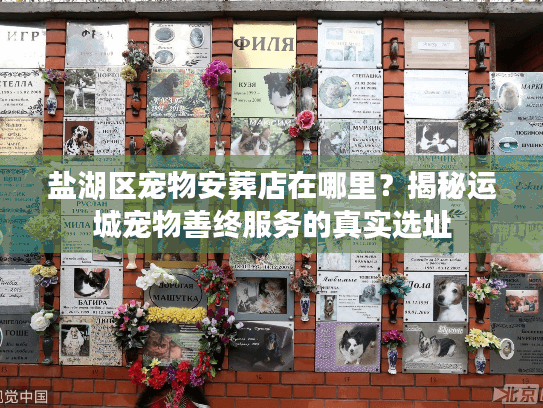 盐湖区宠物安葬店在哪里？揭秘运城宠物善终服务的真实选址