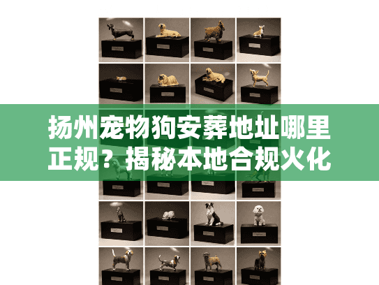 扬州宠物狗安葬地址哪里正规？揭秘本地合规火化机构与避坑门道