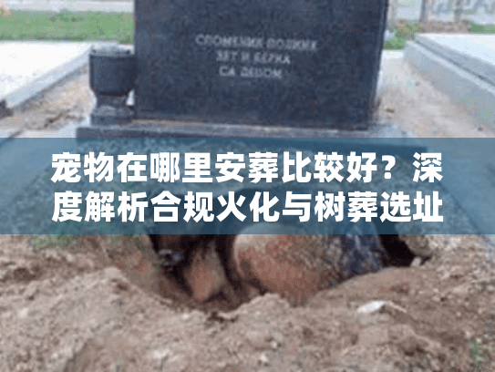 宠物在哪里安葬比较好？深度解析合规火化与树葬选址的隐秘门道