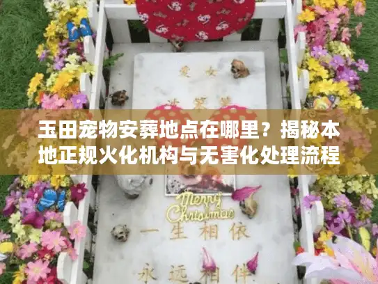 玉田宠物安葬地点在哪里？揭秘本地正规火化机构与无害化处理流程