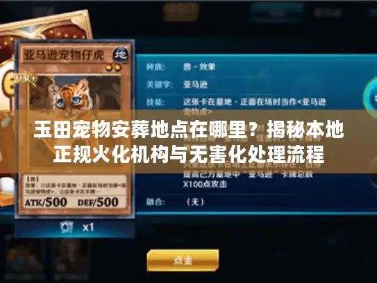 玉田宠物安葬地点在哪里？揭秘本地正规火化机构与无害化处理流程