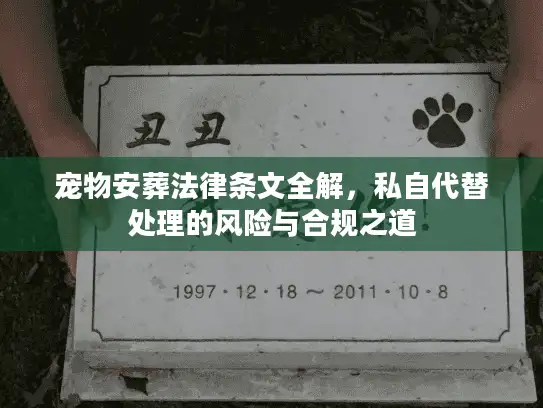 宠物安葬法律条文全解，私自代替处理的风险与合规之道