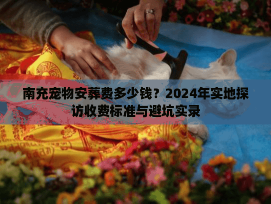 南充宠物安葬费多少钱？2024年实地探访收费标准与避坑实录