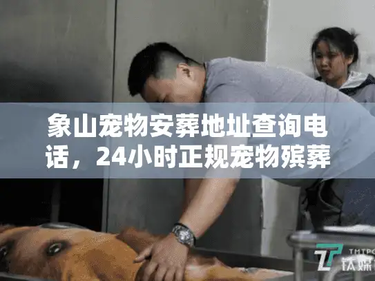 象山宠物安葬地址查询电话，24小时正规宠物殡葬服务全收录