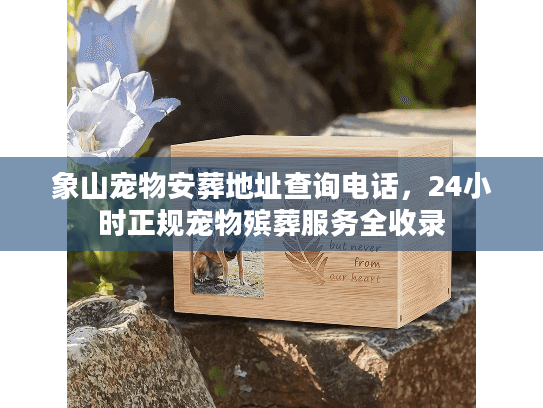 象山宠物安葬地址查询电话，24小时正规宠物殡葬服务全收录