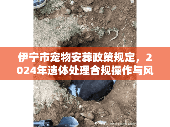 伊宁市宠物安葬政策规定，2024年遗体处理合规操作与风险规避