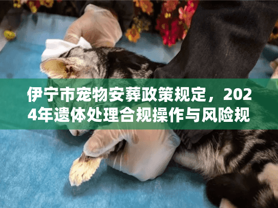 伊宁市宠物安葬政策规定，2024年遗体处理合规操作与风险规避