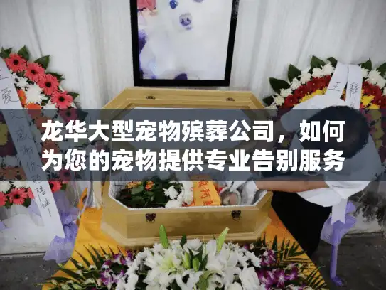 龙华大型宠物殡葬公司，如何为您的宠物提供专业告别服务？