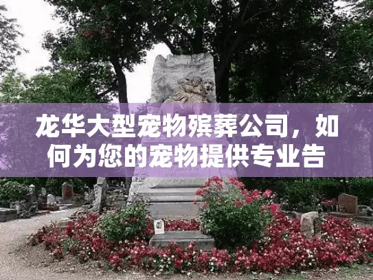 龙华大型宠物殡葬公司，如何为您的宠物提供专业告别服务？