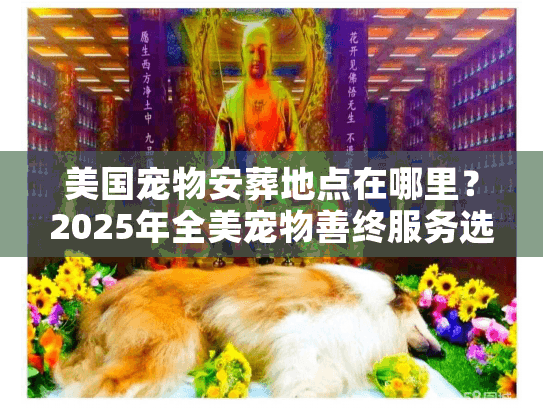 美国宠物安葬地点在哪里？2025年全美宠物善终服务选址与避坑