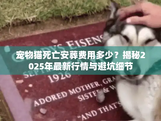 宠物猫死亡安葬费用多少？揭秘2025年最新行情与避坑细节