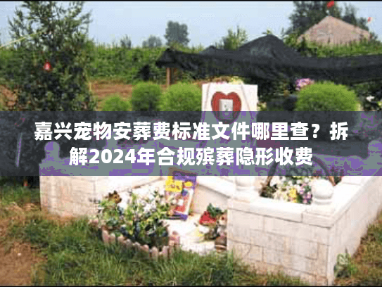 嘉兴宠物安葬费标准文件哪里查？拆解2024年合规殡葬隐形收费