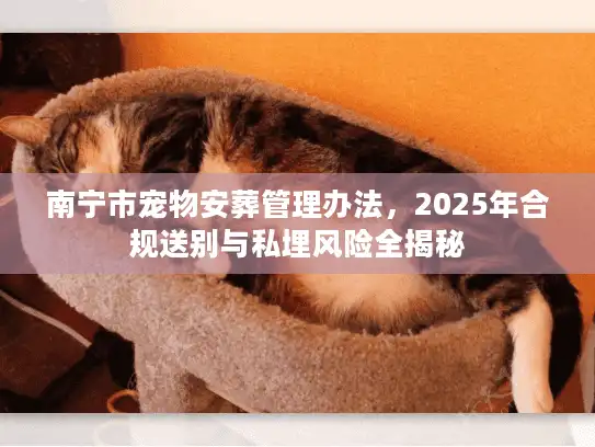 南宁市宠物安葬管理办法，2025年合规送别与私埋风险全揭秘