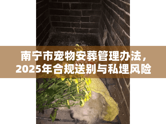 南宁市宠物安葬管理办法，2025年合规送别与私埋风险全揭秘