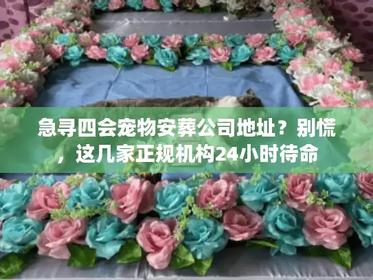 急寻四会宠物安葬公司地址？别慌，这几家正规机构24小时待命