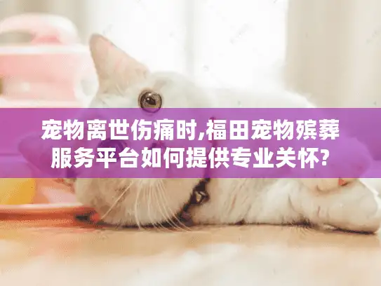 宠物离世伤痛时,福田宠物殡葬服务平台如何提供专业关怀? 宠物离世伤痛时,福田宠物殡葬服务平台如何提供专业关怀?