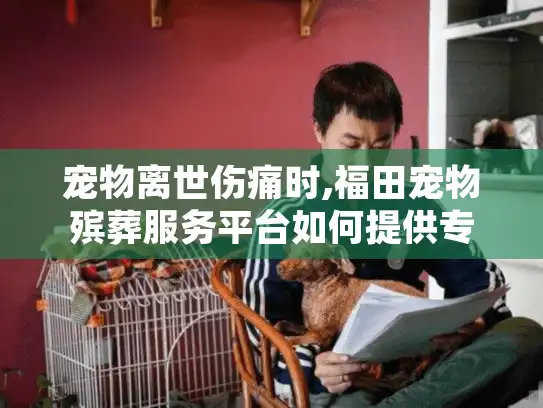 宠物离世伤痛时,福田宠物殡葬服务平台如何提供专业关怀? 宠物离世伤痛时,福田宠物殡葬服务平台如何提供专业关怀?