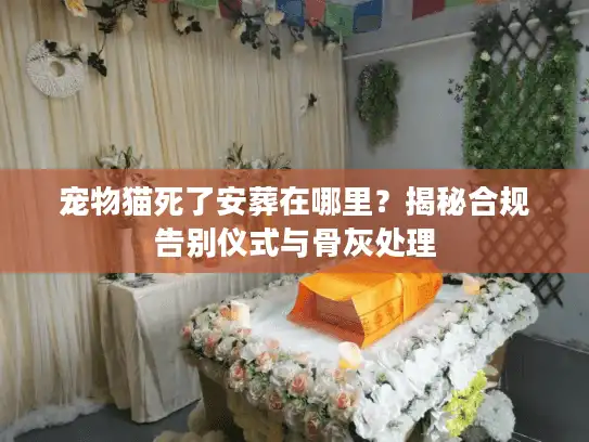 宠物猫死了安葬在哪里?揭秘合规告别仪式与骨灰处理 宠物猫死了安葬在哪里?揭秘合规告别仪式与骨灰处理