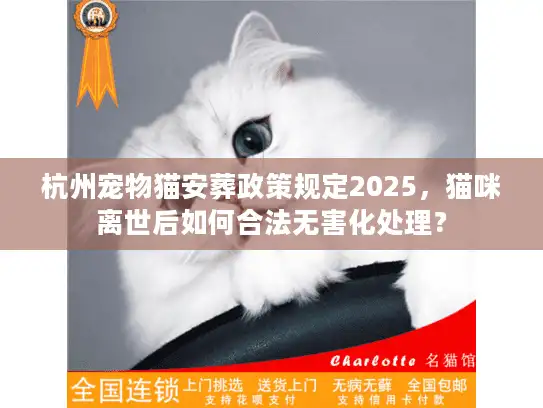 杭州宠物猫安葬政策规定2025，猫咪离世后如何合法无害化处理？