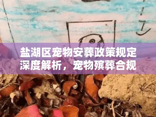 盐湖区宠物安葬政策规定深度解析，宠物殡葬合规操作与避坑实战