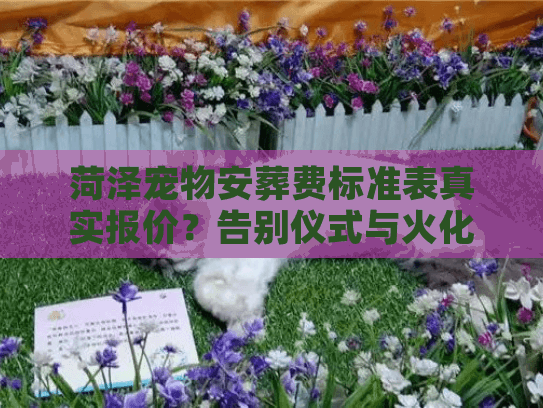 菏泽宠物安葬费标准表真实报价？告别仪式与火化全解析