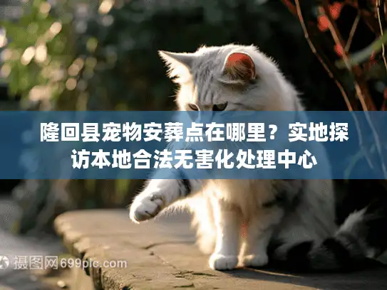 隆回县宠物安葬点在哪里?实地探访本地合法无害化处理中心 隆回县宠物安葬点在哪里?实地探访本地合法无害化处理中心