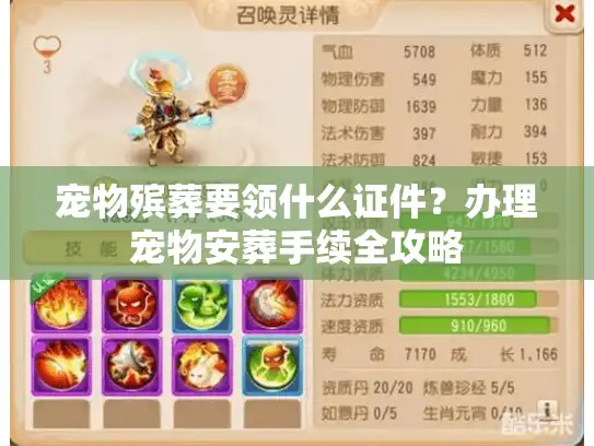 宠物殡葬要领什么证件？办理宠物安葬手续全攻略