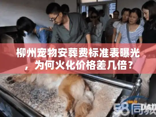 柳州宠物安葬费标准表曝光,为何火化价格差几倍? 柳州宠物安葬费标准表曝光,为何火化价格差几倍?