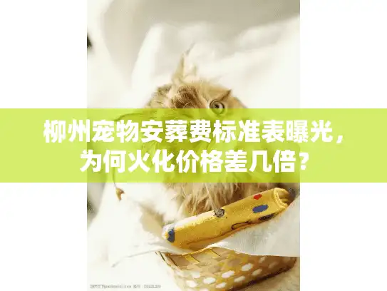 柳州宠物安葬费标准表曝光,为何火化价格差几倍? 柳州宠物安葬费标准表曝光,为何火化价格差几倍?