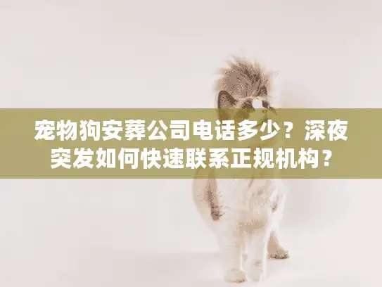 宠物狗安葬公司电话多少？深夜突发如何快速联系正规机构？