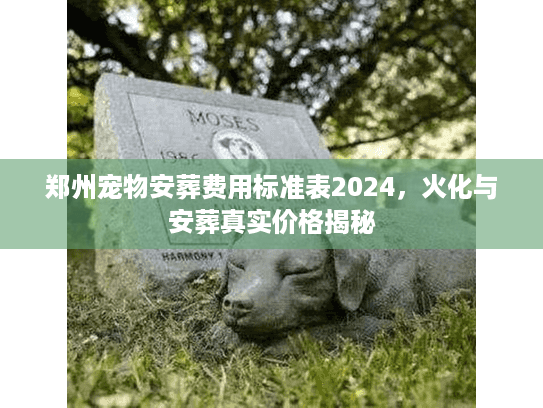 郑州宠物安葬费用标准表2024,火化与安葬真实价格揭秘 郑州宠物安葬费用标准表2024,火化与安葬真实价格揭秘