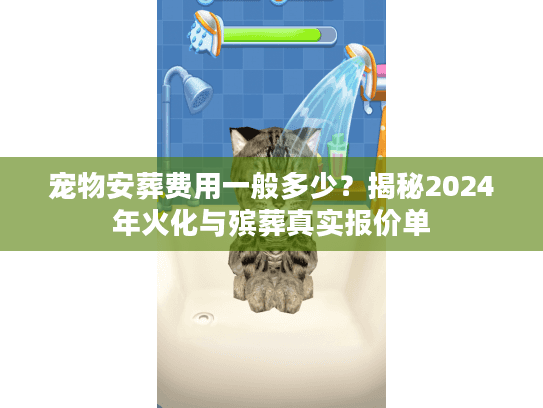 宠物安葬费用一般多少？揭秘2024年火化与殡葬真实报价单
