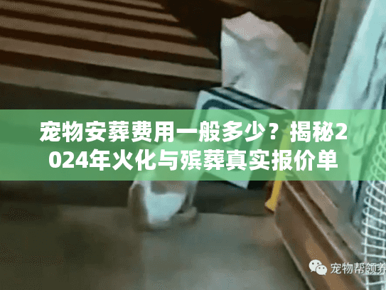 宠物安葬费用一般多少？揭秘2024年火化与殡葬真实报价单