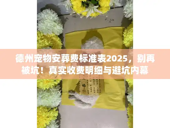 德州宠物安葬费标准表2025，别再被坑！真实收费明细与避坑内幕