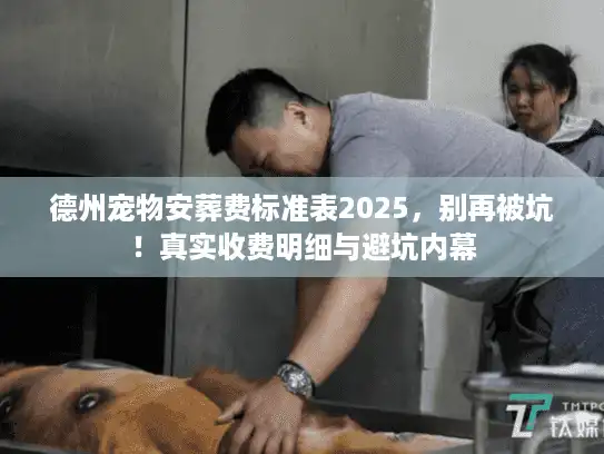 德州宠物安葬费标准表2025，别再被坑！真实收费明细与避坑内幕