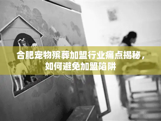 合肥宠物殡葬加盟行业痛点揭秘，如何避免加盟陷阱