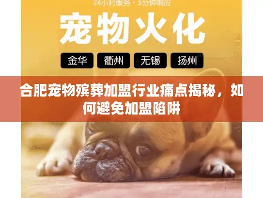 合肥宠物殡葬加盟行业痛点揭秘，如何避免加盟陷阱