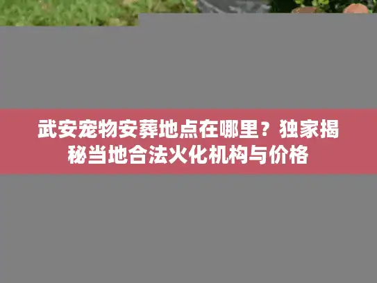 武安宠物安葬地点在哪里?独家揭秘当地合法火化机构与价格 武安宠物安葬地点在哪里?独家揭秘当地合法火化机构与价格