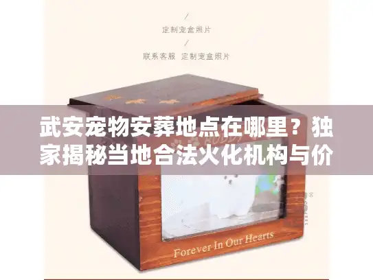 武安宠物安葬地点在哪里?独家揭秘当地合法火化机构与价格 武安宠物安葬地点在哪里?独家揭秘当地合法火化机构与价格