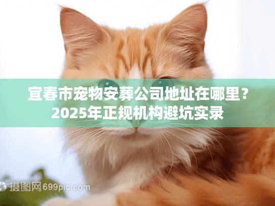 宜春市宠物安葬公司地址在哪里？2025年正规机构避坑实录