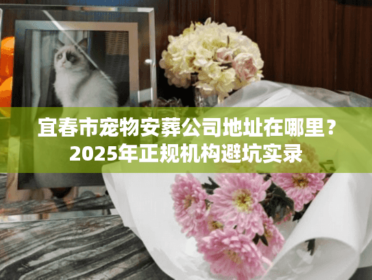 宜春市宠物安葬公司地址在哪里？2025年正规机构避坑实录