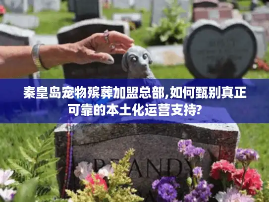 秦皇岛宠物殡葬加盟总部,如何甄别真正可靠的本土化运营支持?