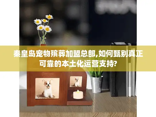 秦皇岛宠物殡葬加盟总部,如何甄别真正可靠的本土化运营支持?