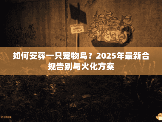 如何安葬一只宠物鸟？2025年最新合规告别与火化方案