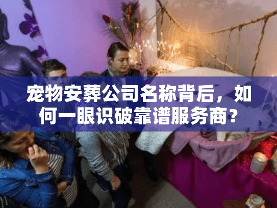 宠物安葬公司名称背后，如何一眼识破靠谱服务商？