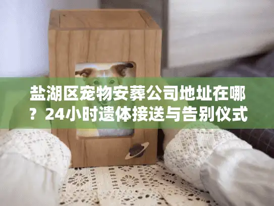 盐湖区宠物安葬公司地址在哪？24小时遗体接送与告别仪式全流程