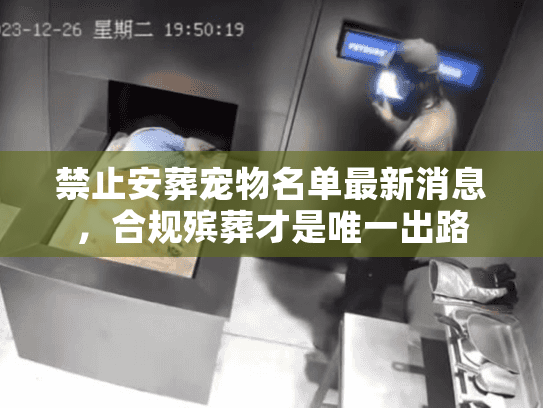 禁止安葬宠物名单最新消息,合规殡葬才是唯一出路 禁止安葬宠物名单最新消息,合规殡葬才是唯一出路