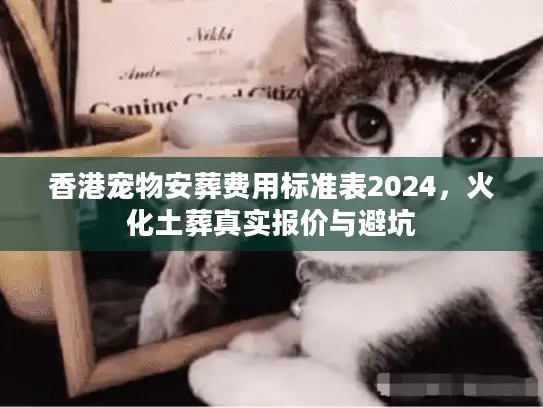 香港宠物安葬费用标准表2024,火化土葬真实报价与避坑 香港宠物安葬费用标准表2024,火化土葬真实报价与避坑